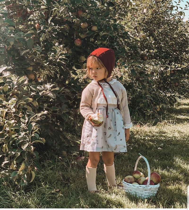 Dark Red Linen Baby Bonnet with reversible poppy floral