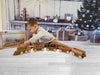 5 piece Wooden Train Set